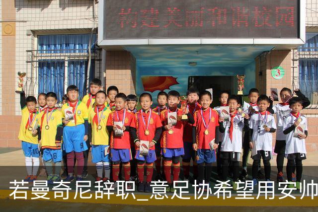 若曼奇尼辞职 意足协希望用安帅或卡纳瓦罗替代