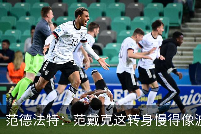 范德法特：范戴克这转身慢得像波音747，这可不是什么好事
